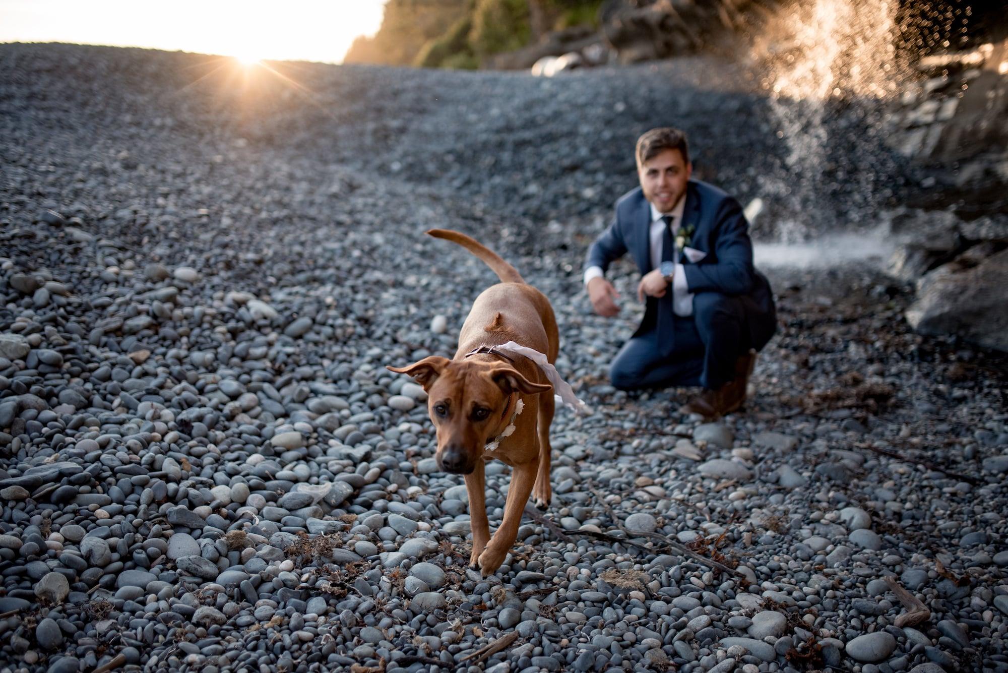 carousel-hero-element image-14