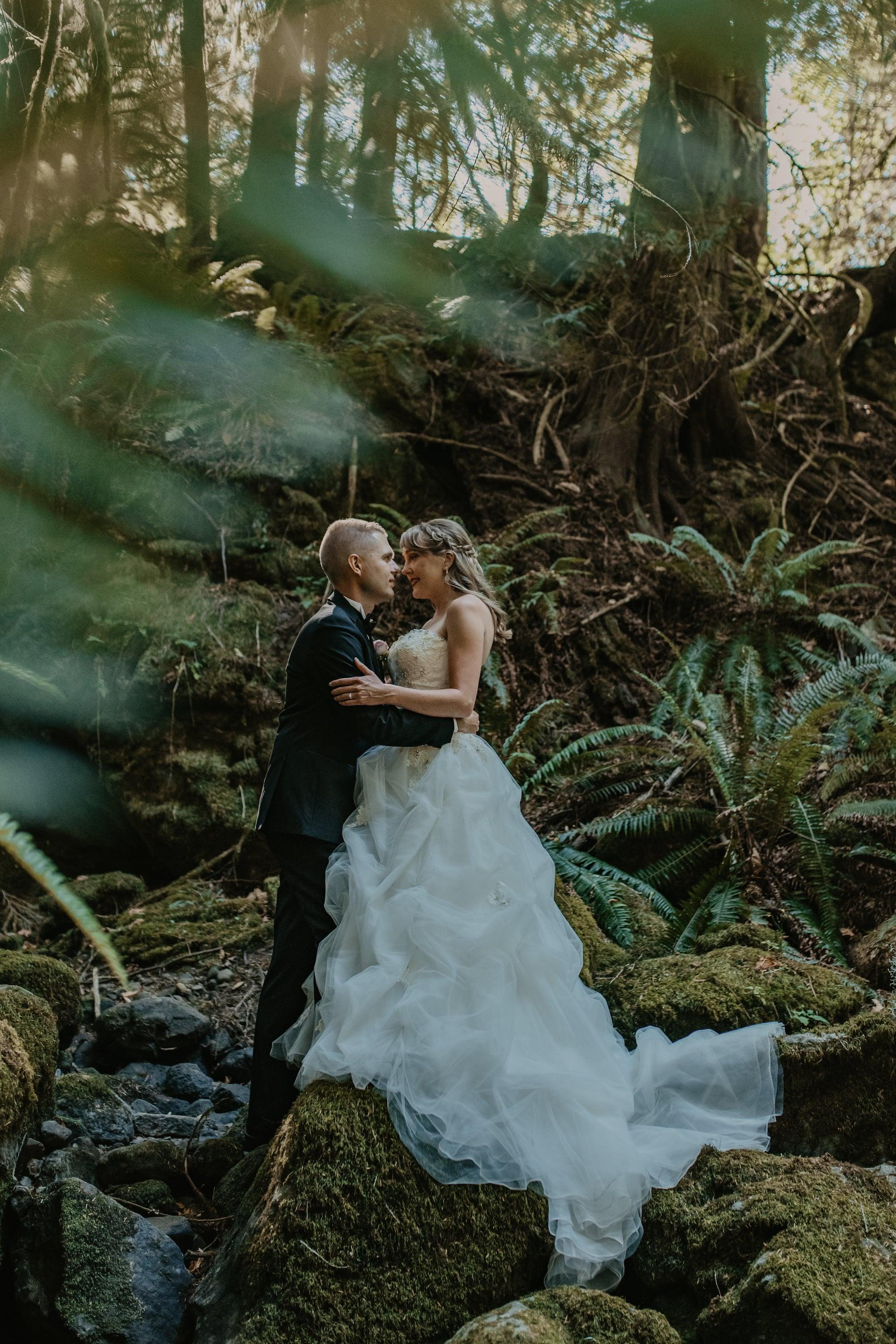 carousel-hero-element image-3