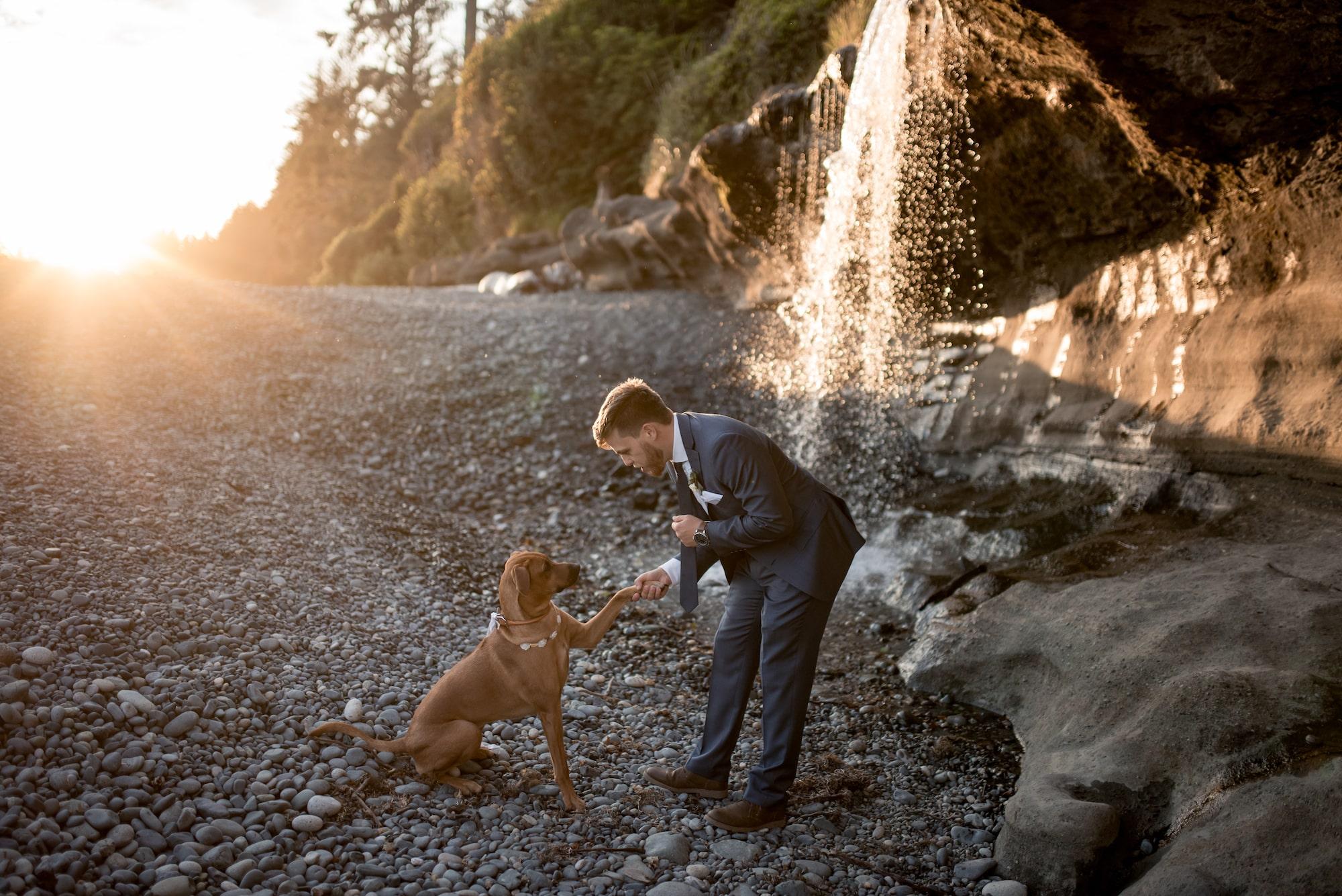 carousel-hero-element image-13